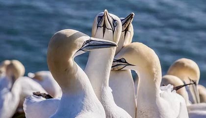 开云体育APP下载-篮网全场压制杜兰特引爆全场，篮网揭幕战 杜兰特