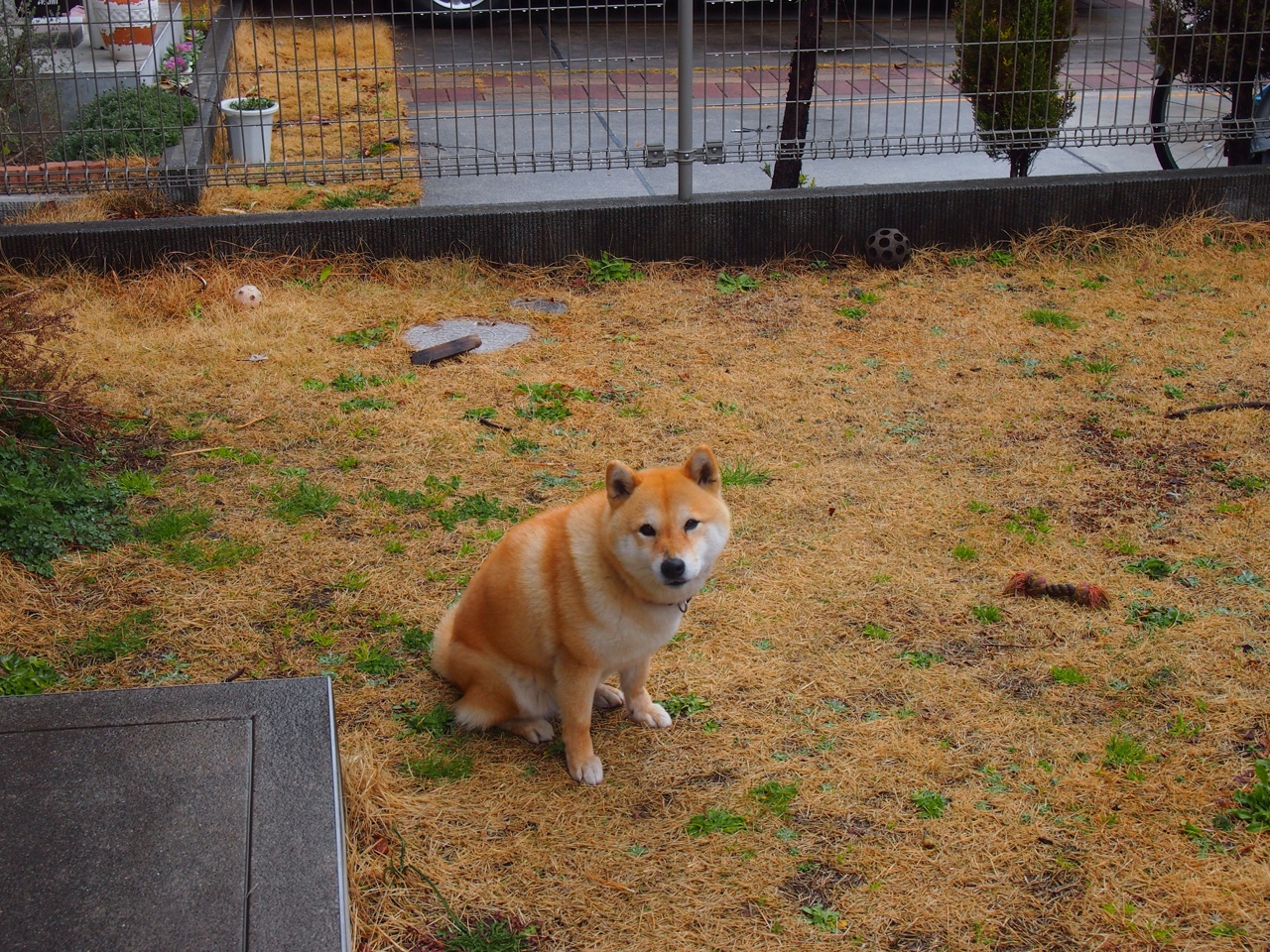 南安普顿新援融入迅速,提升球队实力,南安普顿引援