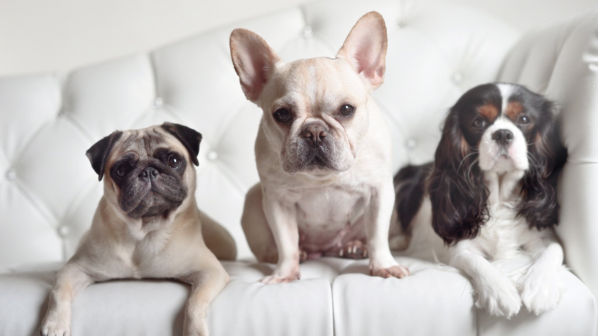 国家队训练设施是否达到国际先进水平,国家队训练强度有多大