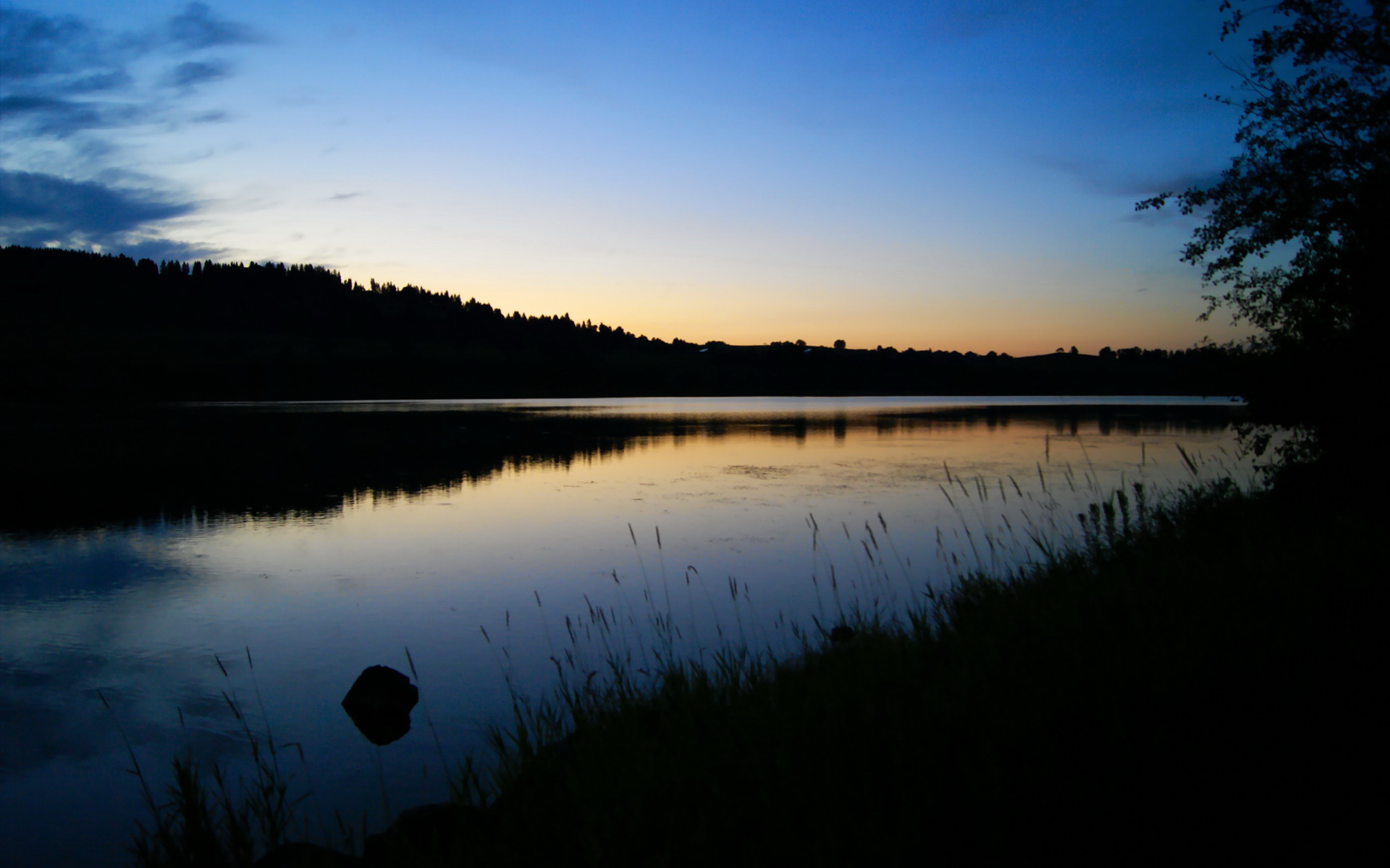 巴西女足在奥运会小组赛中与法国队激战,巴西奥运会女足比赛