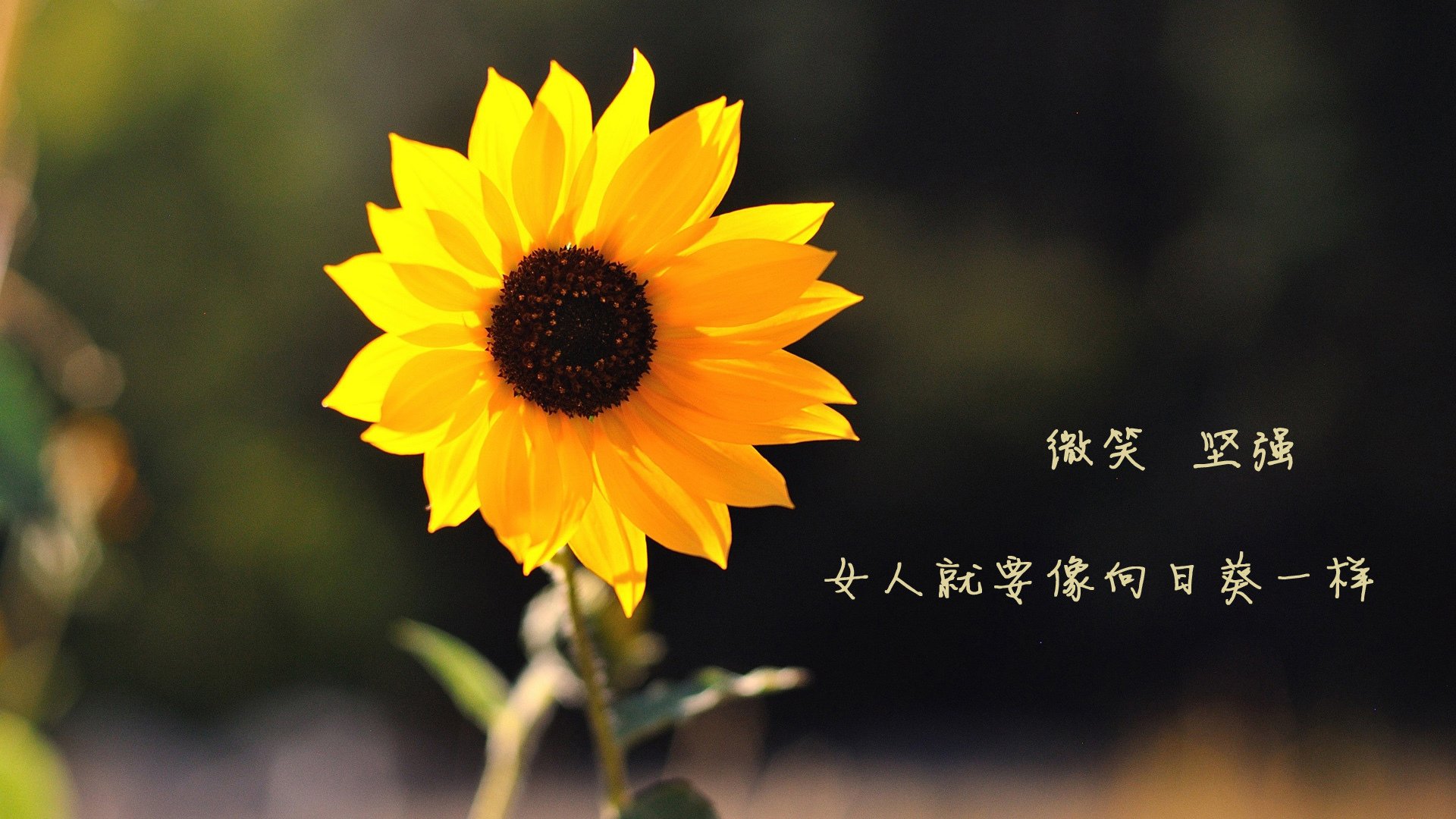 普拉提与心理健康结合,促进身心平衡,普拉提核心训练好处