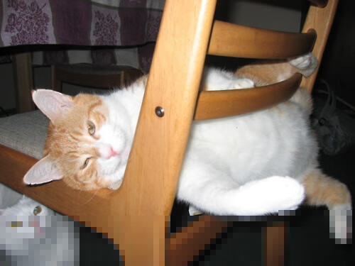 电竞职业选手科学训练数据采集与实时反馈系统设计,电竞职业选手训练表