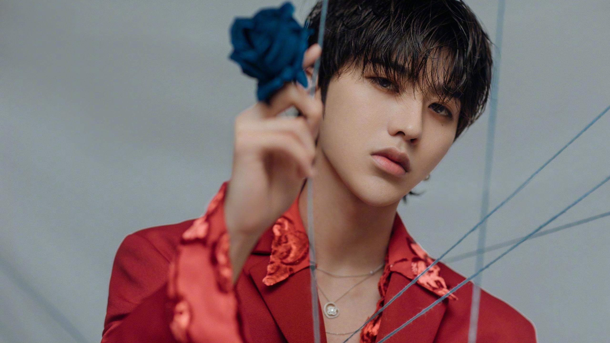 美洲队球迷组织举办庆祝活动,支持球队,美洲球队实力排名