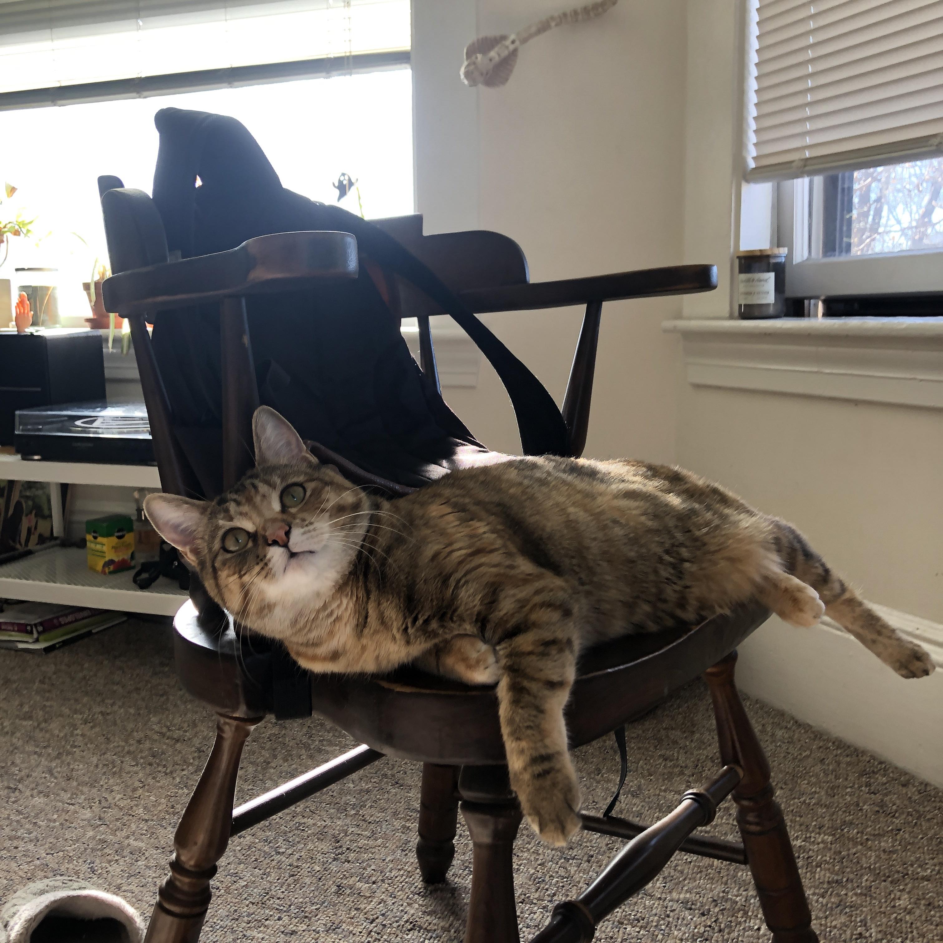 首尔SK骑士替补阵容贡献稳定,韩国队skt