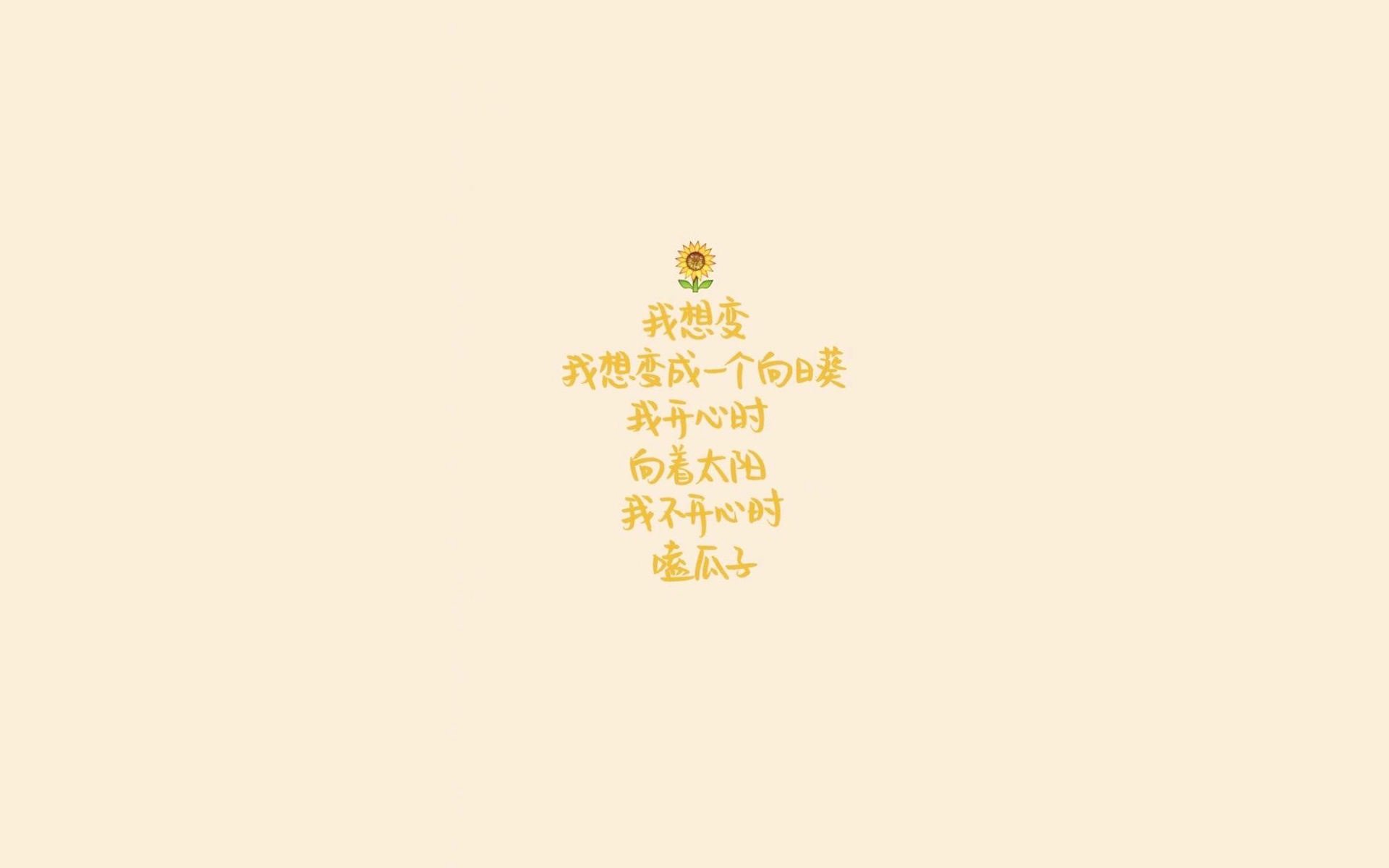 世界帆船巡回赛中国队创最佳成绩,世界帆船比赛基地