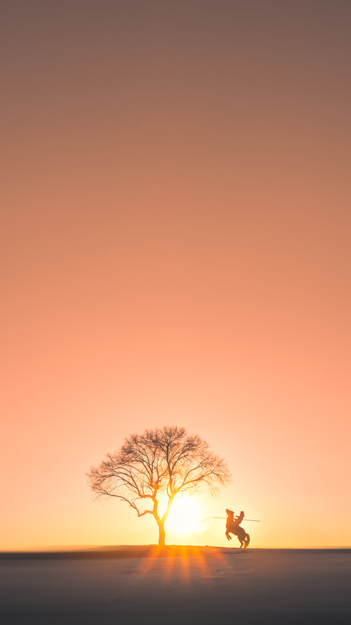 西甲赛季中球员体能衰减及恢复干预效果的研究,西甲 球员