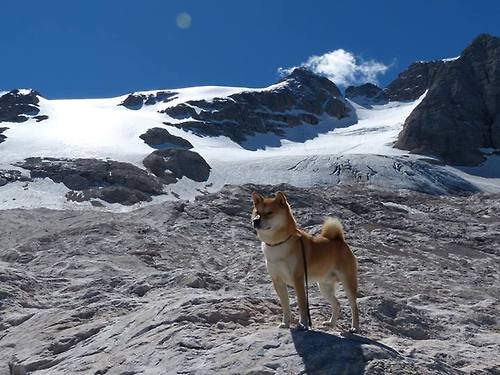 高校体育课程国际比较分析研究,国内高校体育课程现状