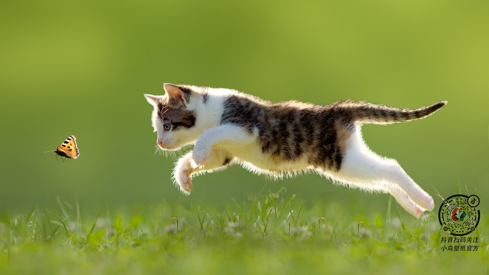 CBA多支球队试训大学生球员 探索校园篮球合作,大学生篮球联赛cuba