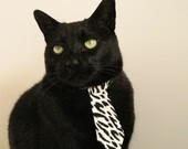 配速调整在蝶泳比赛中的作用,蝶泳配合动作要领