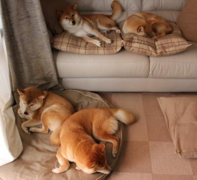 青年运动员表现数据进入大学招生考量,青运会运动员年龄标准