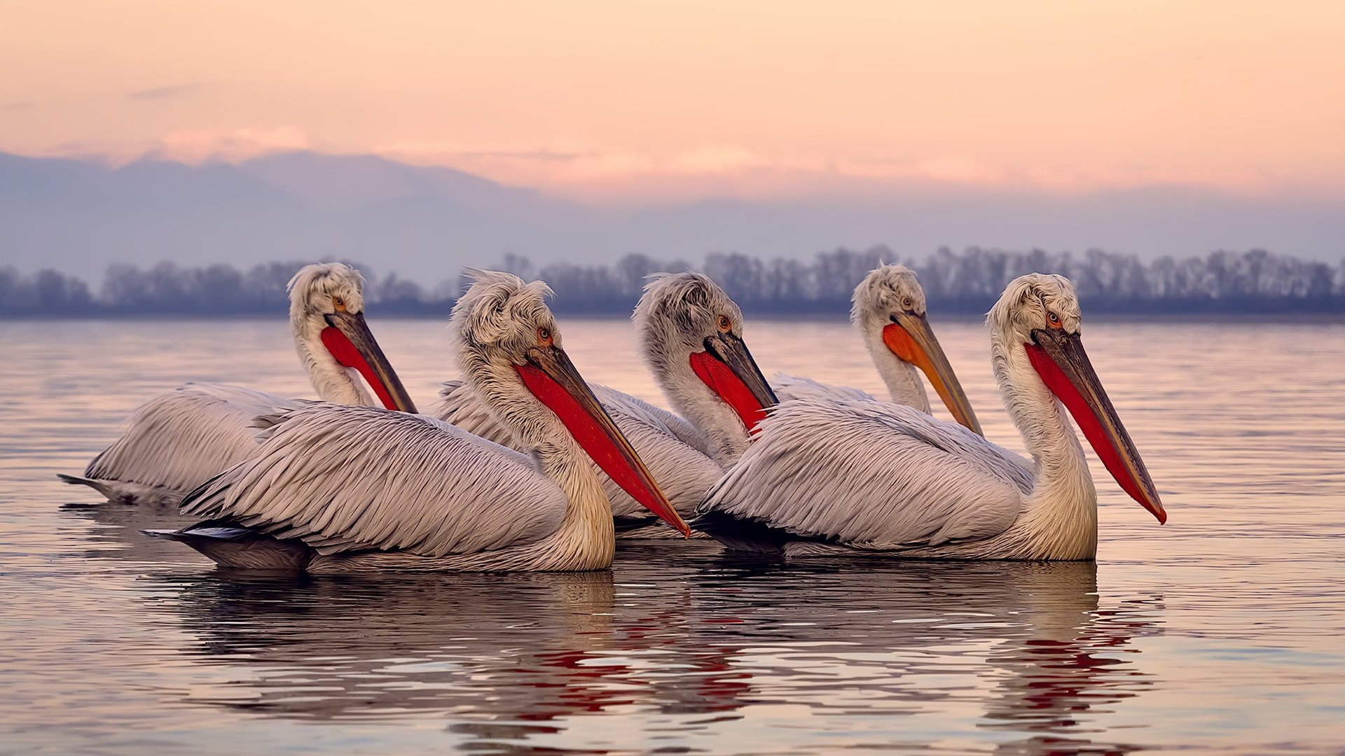 2026世界杯赛场设计融入未来科技元素,成科技体验地标,2026世界杯举办国家排序