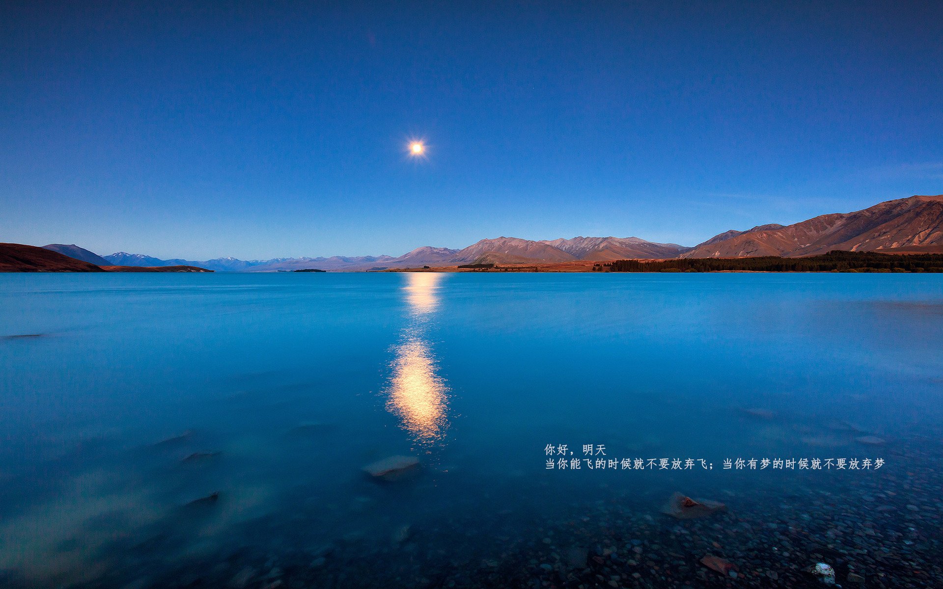 “比亚尔巴在阿根廷美洲狮队的传球与组织能力,展现非凡才华”