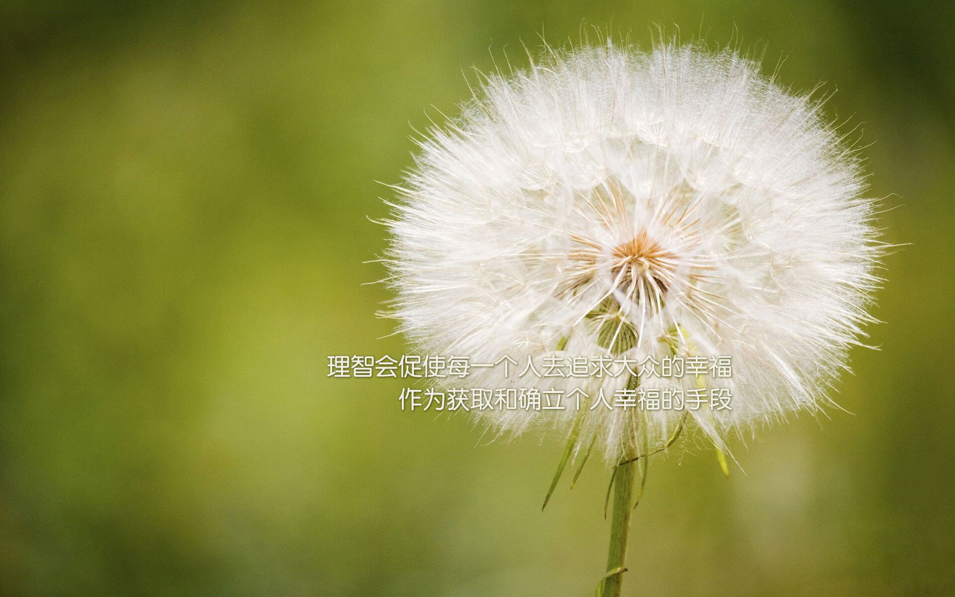 乌拉圭队士气高昂,期待在国际舞台大展宏图