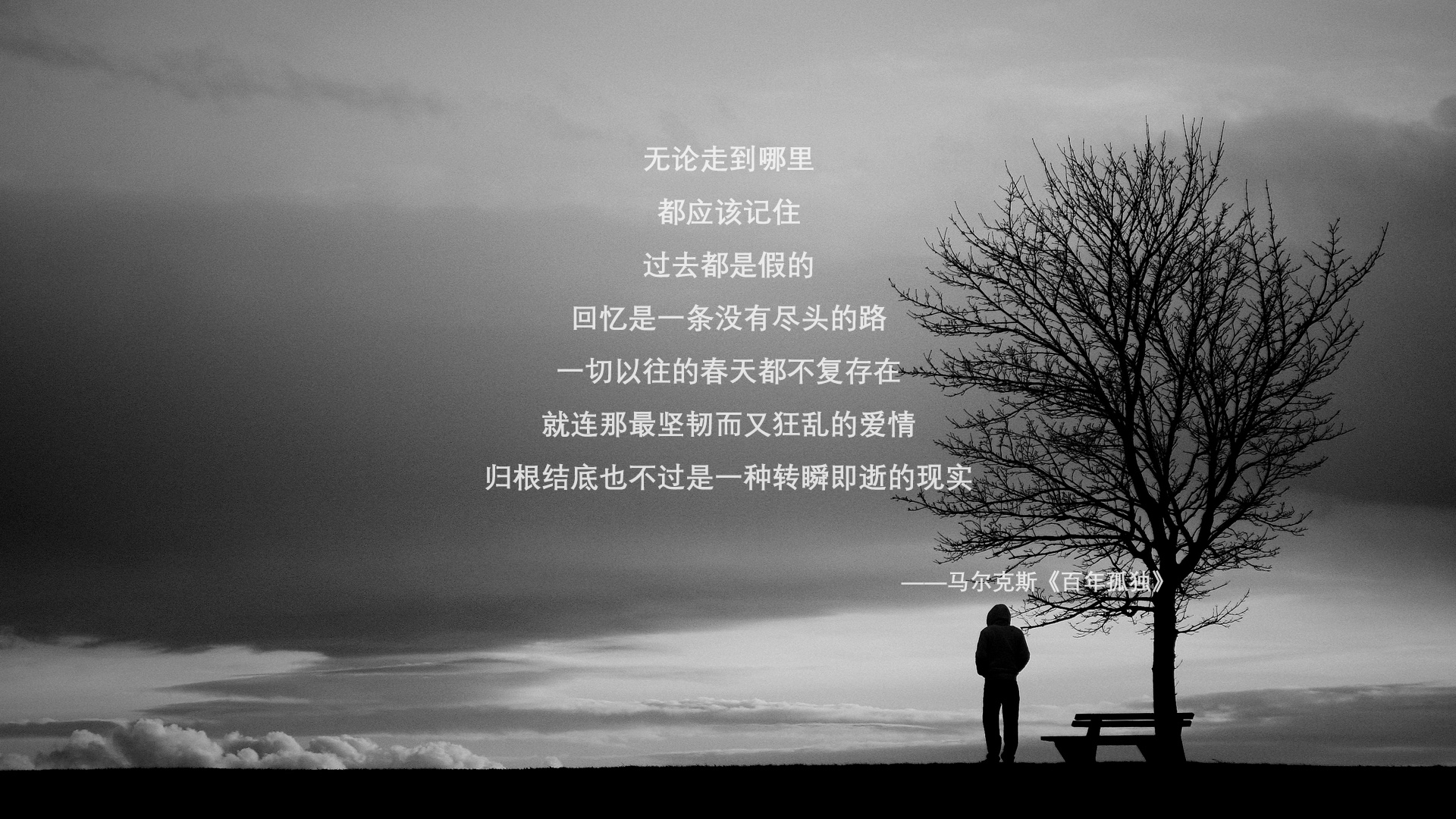 威少强势复出奇才球队重返前八,威少奇才首秀