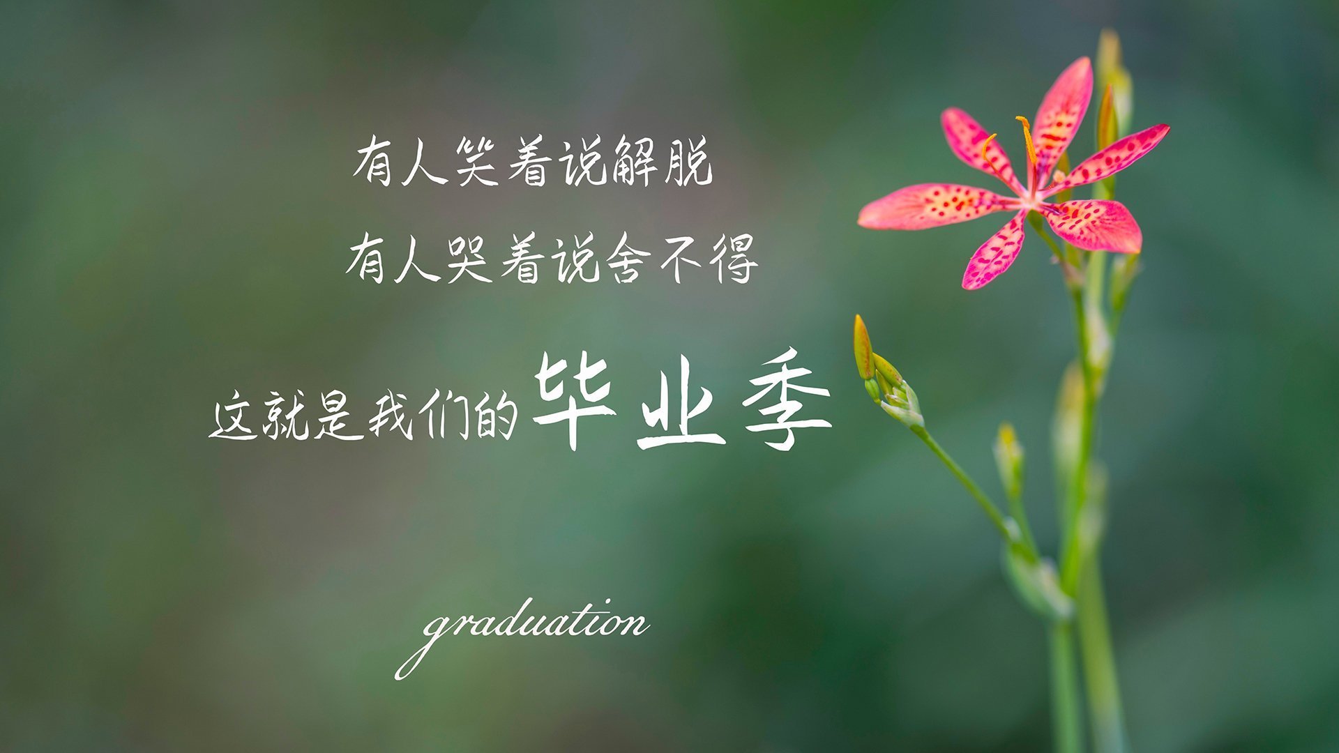 网球赛事媒体合作计划扩大国际影响力,网球赛事报道